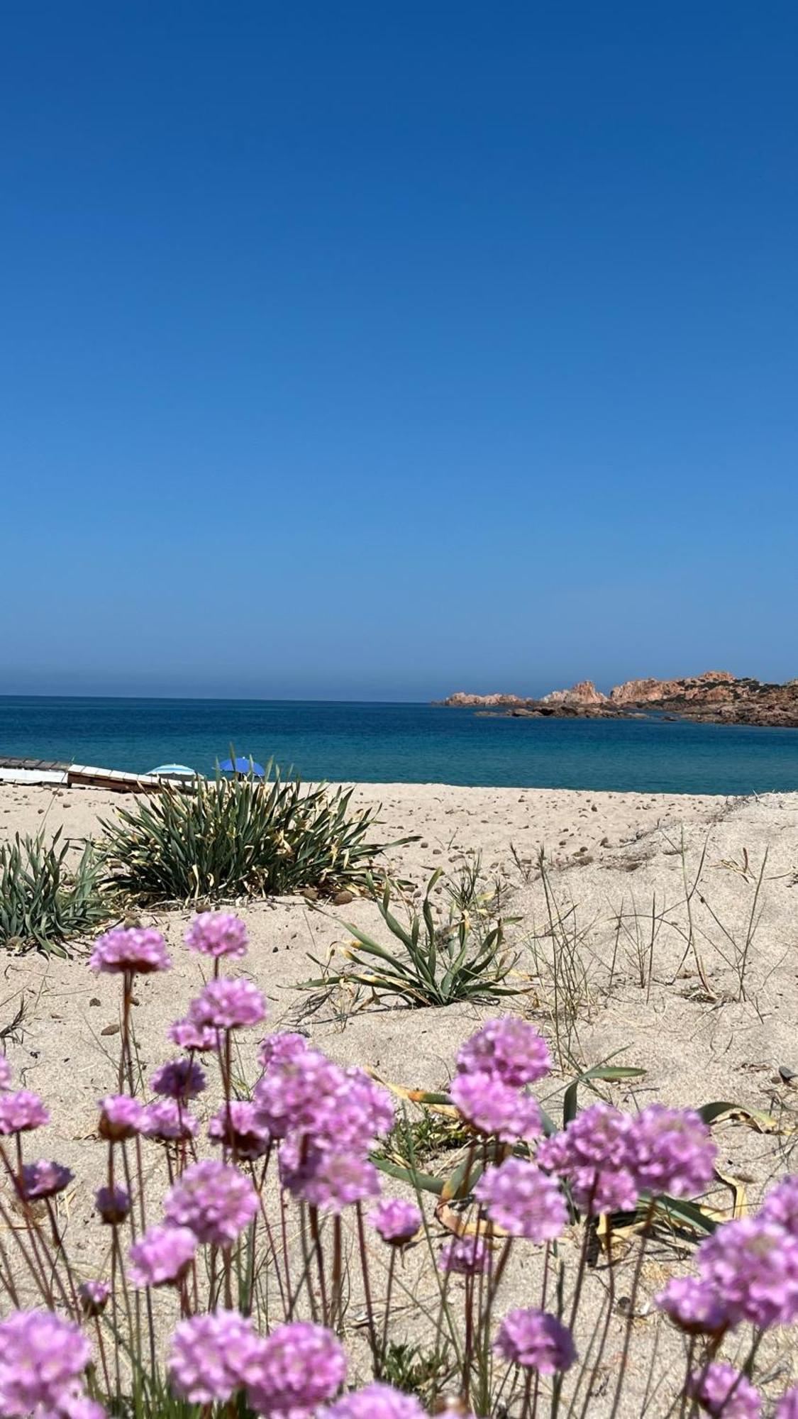 Isola Rossa Appartamenti Paduledda Exteriér fotografie